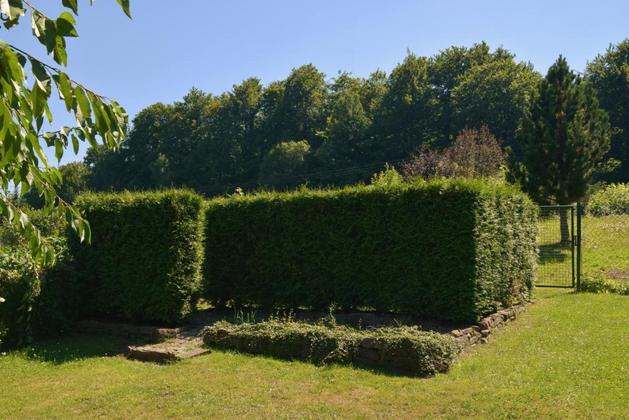 Superior - Ferienhaus Am Engelsbach Im Thueringer Wald Buitenkant foto