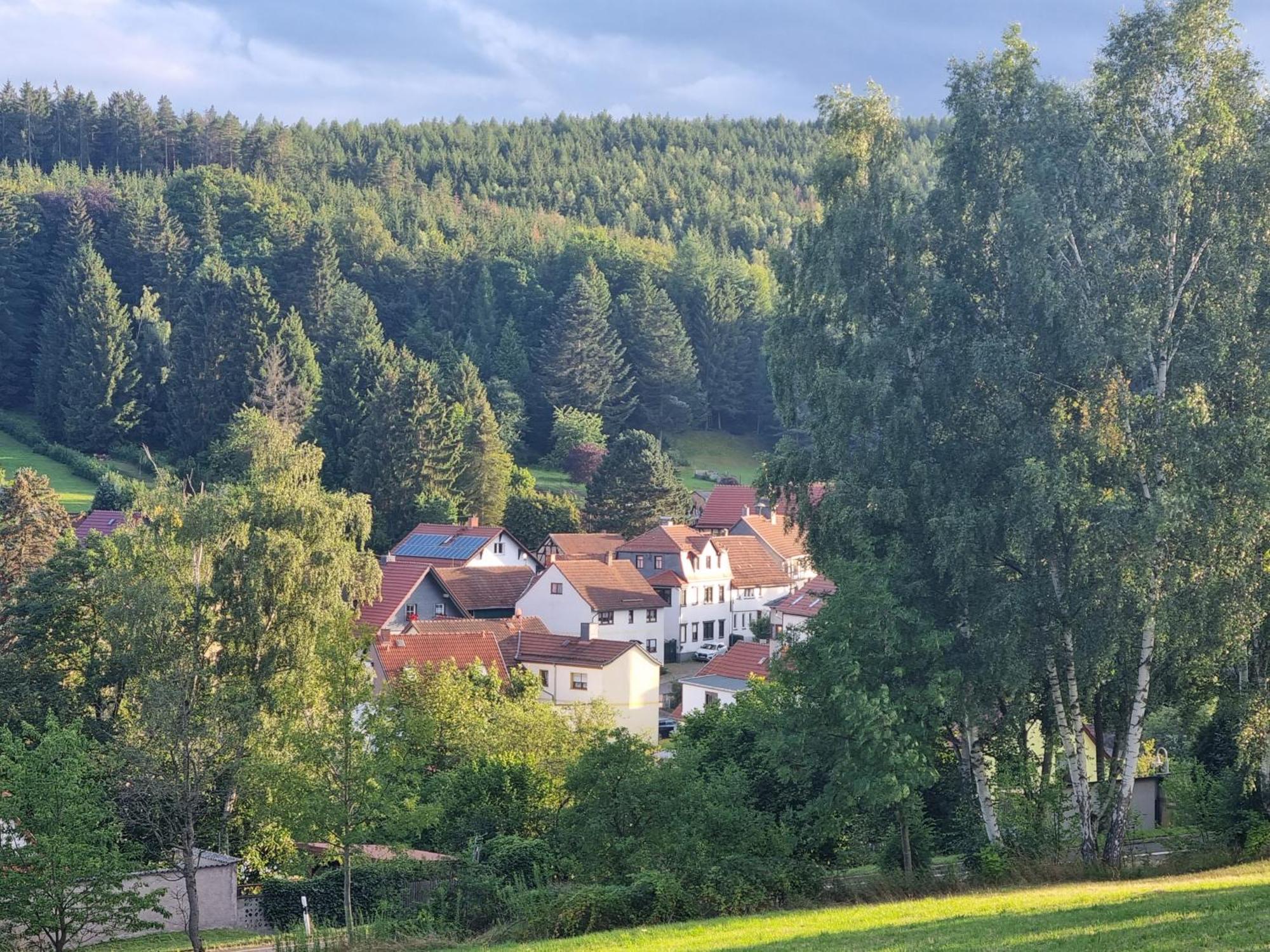 Superior - Ferienhaus Am Engelsbach Im Thueringer Wald Buitenkant foto